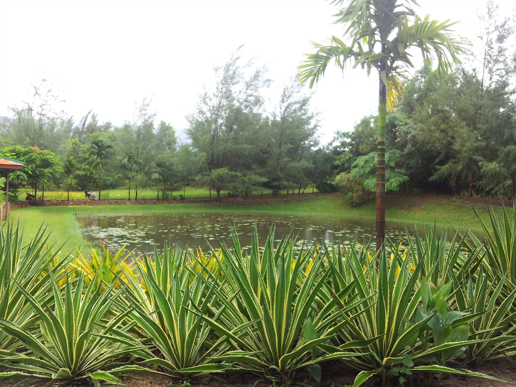 Nataya Round House Coral Bay Resort Kampot Buitenkant foto